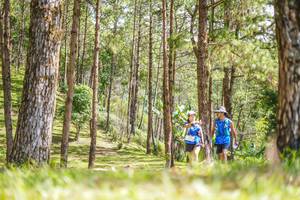 BIB: 
                            <button type="button" onclick="openModal(19292594)" class="btn btn-primary btn-sm float-right btn-popup" data-toggle="modal" data-target=".modal-high-quality">
                        <i class="fas fa-shopping-cart"></i> Add to Cart
                    </button>
                                            <button type="button" onclick="isThisMe(19292594, true)" class="btn btn-success btn-sm float-right btn-popup btn-isme hidden" data-toggle="tooltip" data-placement="bottom" title="นี่คือรูปของคุณใช่ไหม คลิกที่นี่เพื่อเอาเข้าอัลบั้ม">
                        <i class="fas fa-plus"></i> Add to album
                    </button>
                    <button type="button" onclick="isThisMe(19292594, false)" class="btn btn-warning btn-sm float-right btn-popup btn-isnotme hidden">
                        <i class="fas fa-ban"></i> Remove from album
                    </button>