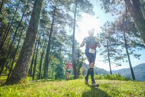 BIB: 
                            <button type="button" onclick="openModal(19281186)" class="btn btn-primary btn-sm float-right btn-popup" data-toggle="modal" data-target=".modal-high-quality">
                        <i class="fas fa-shopping-cart"></i> Add to Cart
                    </button>
                                            <button type="button" onclick="isThisMe(19281186, true)" class="btn btn-success btn-sm float-right btn-popup btn-isme hidden" data-toggle="tooltip" data-placement="bottom" title="นี่คือรูปของคุณใช่ไหม คลิกที่นี่เพื่อเอาเข้าอัลบั้ม">
                        <i class="fas fa-plus"></i> Add to album
                    </button>
                    <button type="button" onclick="isThisMe(19281186, false)" class="btn btn-warning btn-sm float-right btn-popup btn-isnotme hidden">
                        <i class="fas fa-ban"></i> Remove from album
                    </button>