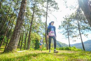 BIB: 
                            <button type="button" onclick="openModal(19289471)" class="btn btn-primary btn-sm float-right btn-popup" data-toggle="modal" data-target=".modal-high-quality">
                        <i class="fas fa-shopping-cart"></i> Add to Cart
                    </button>
                                            <button type="button" onclick="isThisMe(19289471, true)" class="btn btn-success btn-sm float-right btn-popup btn-isme hidden" data-toggle="tooltip" data-placement="bottom" title="นี่คือรูปของคุณใช่ไหม คลิกที่นี่เพื่อเอาเข้าอัลบั้ม">
                        <i class="fas fa-plus"></i> Add to album
                    </button>
                    <button type="button" onclick="isThisMe(19289471, false)" class="btn btn-warning btn-sm float-right btn-popup btn-isnotme hidden">
                        <i class="fas fa-ban"></i> Remove from album
                    </button>