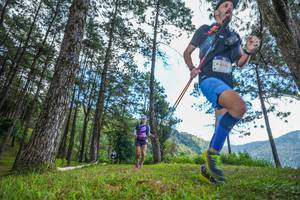 BIB: 519
                            <button type="button" onclick="openModal(19286245)" class="btn btn-primary btn-sm float-right btn-popup" data-toggle="modal" data-target=".modal-high-quality">
                        <i class="fas fa-shopping-cart"></i> Add to Cart
                    </button>
                                            <button type="button" onclick="isThisMe(19286245, true)" class="btn btn-success btn-sm float-right btn-popup btn-isme hidden" data-toggle="tooltip" data-placement="bottom" title="นี่คือรูปของคุณใช่ไหม คลิกที่นี่เพื่อเอาเข้าอัลบั้ม">
                        <i class="fas fa-plus"></i> Add to album
                    </button>
                    <button type="button" onclick="isThisMe(19286245, false)" class="btn btn-warning btn-sm float-right btn-popup btn-isnotme hidden">
                        <i class="fas fa-ban"></i> Remove from album
                    </button>