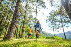 BIB: 
                            <button type="button" onclick="openModal(19289805)" class="btn btn-primary btn-sm float-right btn-popup" data-toggle="modal" data-target=".modal-high-quality">
                        <i class="fas fa-shopping-cart"></i> Add to Cart
                    </button>
                                            <button type="button" onclick="isThisMe(19289805, true)" class="btn btn-success btn-sm float-right btn-popup btn-isme hidden" data-toggle="tooltip" data-placement="bottom" title="นี่คือรูปของคุณใช่ไหม คลิกที่นี่เพื่อเอาเข้าอัลบั้ม">
                        <i class="fas fa-plus"></i> Add to album
                    </button>
                    <button type="button" onclick="isThisMe(19289805, false)" class="btn btn-warning btn-sm float-right btn-popup btn-isnotme hidden">
                        <i class="fas fa-ban"></i> Remove from album
                    </button>