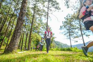 BIB: 
                            <button type="button" onclick="openModal(19289716)" class="btn btn-primary btn-sm float-right btn-popup" data-toggle="modal" data-target=".modal-high-quality">
                        <i class="fas fa-shopping-cart"></i> Add to Cart
                    </button>
                                            <button type="button" onclick="isThisMe(19289716, true)" class="btn btn-success btn-sm float-right btn-popup btn-isme hidden" data-toggle="tooltip" data-placement="bottom" title="นี่คือรูปของคุณใช่ไหม คลิกที่นี่เพื่อเอาเข้าอัลบั้ม">
                        <i class="fas fa-plus"></i> Add to album
                    </button>
                    <button type="button" onclick="isThisMe(19289716, false)" class="btn btn-warning btn-sm float-right btn-popup btn-isnotme hidden">
                        <i class="fas fa-ban"></i> Remove from album
                    </button>