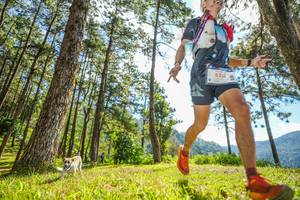 BIB: 521
                            <button type="button" onclick="openModal(19283367)" class="btn btn-primary btn-sm float-right btn-popup" data-toggle="modal" data-target=".modal-high-quality">
                        <i class="fas fa-shopping-cart"></i> Add to Cart
                    </button>
                                            <button type="button" onclick="isThisMe(19283367, true)" class="btn btn-success btn-sm float-right btn-popup btn-isme hidden" data-toggle="tooltip" data-placement="bottom" title="นี่คือรูปของคุณใช่ไหม คลิกที่นี่เพื่อเอาเข้าอัลบั้ม">
                        <i class="fas fa-plus"></i> Add to album
                    </button>
                    <button type="button" onclick="isThisMe(19283367, false)" class="btn btn-warning btn-sm float-right btn-popup btn-isnotme hidden">
                        <i class="fas fa-ban"></i> Remove from album
                    </button>