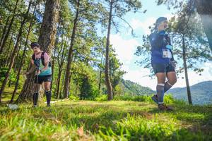 BIB: 
                            <button type="button" onclick="openModal(19291578)" class="btn btn-primary btn-sm float-right btn-popup" data-toggle="modal" data-target=".modal-high-quality">
                        <i class="fas fa-shopping-cart"></i> Add to Cart
                    </button>
                                            <button type="button" onclick="isThisMe(19291578, true)" class="btn btn-success btn-sm float-right btn-popup btn-isme hidden" data-toggle="tooltip" data-placement="bottom" title="นี่คือรูปของคุณใช่ไหม คลิกที่นี่เพื่อเอาเข้าอัลบั้ม">
                        <i class="fas fa-plus"></i> Add to album
                    </button>
                    <button type="button" onclick="isThisMe(19291578, false)" class="btn btn-warning btn-sm float-right btn-popup btn-isnotme hidden">
                        <i class="fas fa-ban"></i> Remove from album
                    </button>