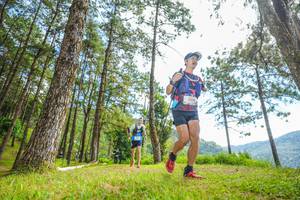 BIB: 
                            <button type="button" onclick="openModal(19288431)" class="btn btn-primary btn-sm float-right btn-popup" data-toggle="modal" data-target=".modal-high-quality">
                        <i class="fas fa-shopping-cart"></i> Add to Cart
                    </button>
                                            <button type="button" onclick="isThisMe(19288431, true)" class="btn btn-success btn-sm float-right btn-popup btn-isme hidden" data-toggle="tooltip" data-placement="bottom" title="นี่คือรูปของคุณใช่ไหม คลิกที่นี่เพื่อเอาเข้าอัลบั้ม">
                        <i class="fas fa-plus"></i> Add to album
                    </button>
                    <button type="button" onclick="isThisMe(19288431, false)" class="btn btn-warning btn-sm float-right btn-popup btn-isnotme hidden">
                        <i class="fas fa-ban"></i> Remove from album
                    </button>