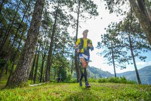 BIB: 
                            <button type="button" onclick="openModal(19280515)" class="btn btn-primary btn-sm float-right btn-popup" data-toggle="modal" data-target=".modal-high-quality">
                        <i class="fas fa-shopping-cart"></i> Add to Cart
                    </button>
                                            <button type="button" onclick="isThisMe(19280515, true)" class="btn btn-success btn-sm float-right btn-popup btn-isme hidden" data-toggle="tooltip" data-placement="bottom" title="นี่คือรูปของคุณใช่ไหม คลิกที่นี่เพื่อเอาเข้าอัลบั้ม">
                        <i class="fas fa-plus"></i> Add to album
                    </button>
                    <button type="button" onclick="isThisMe(19280515, false)" class="btn btn-warning btn-sm float-right btn-popup btn-isnotme hidden">
                        <i class="fas fa-ban"></i> Remove from album
                    </button>