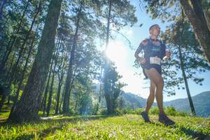 BIB: 504
                            <button type="button" onclick="openModal(19279863)" class="btn btn-primary btn-sm float-right btn-popup" data-toggle="modal" data-target=".modal-high-quality">
                        <i class="fas fa-shopping-cart"></i> Add to Cart
                    </button>
                                            <button type="button" onclick="isThisMe(19279863, true)" class="btn btn-success btn-sm float-right btn-popup btn-isme hidden" data-toggle="tooltip" data-placement="bottom" title="นี่คือรูปของคุณใช่ไหม คลิกที่นี่เพื่อเอาเข้าอัลบั้ม">
                        <i class="fas fa-plus"></i> Add to album
                    </button>
                    <button type="button" onclick="isThisMe(19279863, false)" class="btn btn-warning btn-sm float-right btn-popup btn-isnotme hidden">
                        <i class="fas fa-ban"></i> Remove from album
                    </button>