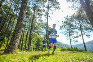 BIB: , 
                            <button type="button" onclick="openModal(19287106)" class="btn btn-primary btn-sm float-right btn-popup" data-toggle="modal" data-target=".modal-high-quality">
                        <i class="fas fa-shopping-cart"></i> Add to Cart
                    </button>
                                            <button type="button" onclick="isThisMe(19287106, true)" class="btn btn-success btn-sm float-right btn-popup btn-isme hidden" data-toggle="tooltip" data-placement="bottom" title="นี่คือรูปของคุณใช่ไหม คลิกที่นี่เพื่อเอาเข้าอัลบั้ม">
                        <i class="fas fa-plus"></i> Add to album
                    </button>
                    <button type="button" onclick="isThisMe(19287106, false)" class="btn btn-warning btn-sm float-right btn-popup btn-isnotme hidden">
                        <i class="fas fa-ban"></i> Remove from album
                    </button>