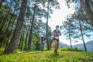 BIB: 
                            <button type="button" onclick="openModal(19282314)" class="btn btn-primary btn-sm float-right btn-popup" data-toggle="modal" data-target=".modal-high-quality">
                        <i class="fas fa-shopping-cart"></i> Add to Cart
                    </button>
                                            <button type="button" onclick="isThisMe(19282314, true)" class="btn btn-success btn-sm float-right btn-popup btn-isme hidden" data-toggle="tooltip" data-placement="bottom" title="นี่คือรูปของคุณใช่ไหม คลิกที่นี่เพื่อเอาเข้าอัลบั้ม">
                        <i class="fas fa-plus"></i> Add to album
                    </button>
                    <button type="button" onclick="isThisMe(19282314, false)" class="btn btn-warning btn-sm float-right btn-popup btn-isnotme hidden">
                        <i class="fas fa-ban"></i> Remove from album
                    </button>