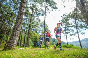 BIB: 
                            <button type="button" onclick="openModal(19288173)" class="btn btn-primary btn-sm float-right btn-popup" data-toggle="modal" data-target=".modal-high-quality">
                        <i class="fas fa-shopping-cart"></i> Add to Cart
                    </button>
                                            <button type="button" onclick="isThisMe(19288173, true)" class="btn btn-success btn-sm float-right btn-popup btn-isme hidden" data-toggle="tooltip" data-placement="bottom" title="นี่คือรูปของคุณใช่ไหม คลิกที่นี่เพื่อเอาเข้าอัลบั้ม">
                        <i class="fas fa-plus"></i> Add to album
                    </button>
                    <button type="button" onclick="isThisMe(19288173, false)" class="btn btn-warning btn-sm float-right btn-popup btn-isnotme hidden">
                        <i class="fas fa-ban"></i> Remove from album
                    </button>