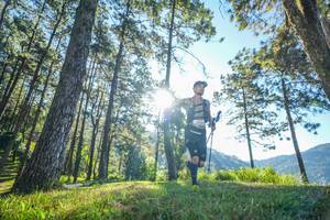 BIB: 
                            <button type="button" onclick="openModal(19278948)" class="btn btn-primary btn-sm float-right btn-popup" data-toggle="modal" data-target=".modal-high-quality">
                        <i class="fas fa-shopping-cart"></i> Add to Cart
                    </button>
                                            <button type="button" onclick="isThisMe(19278948, true)" class="btn btn-success btn-sm float-right btn-popup btn-isme hidden" data-toggle="tooltip" data-placement="bottom" title="นี่คือรูปของคุณใช่ไหม คลิกที่นี่เพื่อเอาเข้าอัลบั้ม">
                        <i class="fas fa-plus"></i> Add to album
                    </button>
                    <button type="button" onclick="isThisMe(19278948, false)" class="btn btn-warning btn-sm float-right btn-popup btn-isnotme hidden">
                        <i class="fas fa-ban"></i> Remove from album
                    </button>