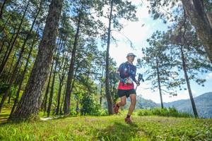 BIB: 
                            <button type="button" onclick="openModal(19282557)" class="btn btn-primary btn-sm float-right btn-popup" data-toggle="modal" data-target=".modal-high-quality">
                        <i class="fas fa-shopping-cart"></i> Add to Cart
                    </button>
                                            <button type="button" onclick="isThisMe(19282557, true)" class="btn btn-success btn-sm float-right btn-popup btn-isme hidden" data-toggle="tooltip" data-placement="bottom" title="นี่คือรูปของคุณใช่ไหม คลิกที่นี่เพื่อเอาเข้าอัลบั้ม">
                        <i class="fas fa-plus"></i> Add to album
                    </button>
                    <button type="button" onclick="isThisMe(19282557, false)" class="btn btn-warning btn-sm float-right btn-popup btn-isnotme hidden">
                        <i class="fas fa-ban"></i> Remove from album
                    </button>