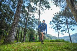 BIB: 
                            <button type="button" onclick="openModal(19280998)" class="btn btn-primary btn-sm float-right btn-popup" data-toggle="modal" data-target=".modal-high-quality">
                        <i class="fas fa-shopping-cart"></i> Add to Cart
                    </button>
                                            <button type="button" onclick="isThisMe(19280998, true)" class="btn btn-success btn-sm float-right btn-popup btn-isme hidden" data-toggle="tooltip" data-placement="bottom" title="นี่คือรูปของคุณใช่ไหม คลิกที่นี่เพื่อเอาเข้าอัลบั้ม">
                        <i class="fas fa-plus"></i> Add to album
                    </button>
                    <button type="button" onclick="isThisMe(19280998, false)" class="btn btn-warning btn-sm float-right btn-popup btn-isnotme hidden">
                        <i class="fas fa-ban"></i> Remove from album
                    </button>