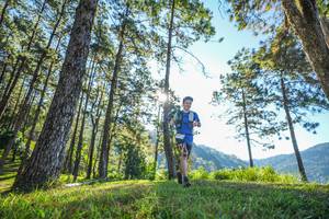 BIB: 
                            <button type="button" onclick="openModal(19278999)" class="btn btn-primary btn-sm float-right btn-popup" data-toggle="modal" data-target=".modal-high-quality">
                        <i class="fas fa-shopping-cart"></i> Add to Cart
                    </button>
                                            <button type="button" onclick="isThisMe(19278999, true)" class="btn btn-success btn-sm float-right btn-popup btn-isme hidden" data-toggle="tooltip" data-placement="bottom" title="นี่คือรูปของคุณใช่ไหม คลิกที่นี่เพื่อเอาเข้าอัลบั้ม">
                        <i class="fas fa-plus"></i> Add to album
                    </button>
                    <button type="button" onclick="isThisMe(19278999, false)" class="btn btn-warning btn-sm float-right btn-popup btn-isnotme hidden">
                        <i class="fas fa-ban"></i> Remove from album
                    </button>