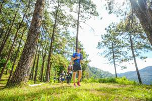 BIB: 
                            <button type="button" onclick="openModal(19289748)" class="btn btn-primary btn-sm float-right btn-popup" data-toggle="modal" data-target=".modal-high-quality">
                        <i class="fas fa-shopping-cart"></i> Add to Cart
                    </button>
                                            <button type="button" onclick="isThisMe(19289748, true)" class="btn btn-success btn-sm float-right btn-popup btn-isme hidden" data-toggle="tooltip" data-placement="bottom" title="นี่คือรูปของคุณใช่ไหม คลิกที่นี่เพื่อเอาเข้าอัลบั้ม">
                        <i class="fas fa-plus"></i> Add to album
                    </button>
                    <button type="button" onclick="isThisMe(19289748, false)" class="btn btn-warning btn-sm float-right btn-popup btn-isnotme hidden">
                        <i class="fas fa-ban"></i> Remove from album
                    </button>