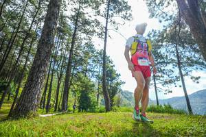 BIB: 
                            <button type="button" onclick="openModal(19285904)" class="btn btn-primary btn-sm float-right btn-popup" data-toggle="modal" data-target=".modal-high-quality">
                        <i class="fas fa-shopping-cart"></i> Add to Cart
                    </button>
                                            <button type="button" onclick="isThisMe(19285904, true)" class="btn btn-success btn-sm float-right btn-popup btn-isme hidden" data-toggle="tooltip" data-placement="bottom" title="นี่คือรูปของคุณใช่ไหม คลิกที่นี่เพื่อเอาเข้าอัลบั้ม">
                        <i class="fas fa-plus"></i> Add to album
                    </button>
                    <button type="button" onclick="isThisMe(19285904, false)" class="btn btn-warning btn-sm float-right btn-popup btn-isnotme hidden">
                        <i class="fas fa-ban"></i> Remove from album
                    </button>