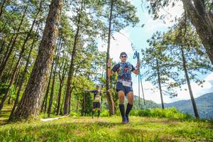 BIB: 2009
                            <button type="button" onclick="openModal(19291335)" class="btn btn-primary btn-sm float-right btn-popup" data-toggle="modal" data-target=".modal-high-quality">
                        <i class="fas fa-shopping-cart"></i> Add to Cart
                    </button>
                                            <button type="button" onclick="isThisMe(19291335, true)" class="btn btn-success btn-sm float-right btn-popup btn-isme hidden" data-toggle="tooltip" data-placement="bottom" title="นี่คือรูปของคุณใช่ไหม คลิกที่นี่เพื่อเอาเข้าอัลบั้ม">
                        <i class="fas fa-plus"></i> Add to album
                    </button>
                    <button type="button" onclick="isThisMe(19291335, false)" class="btn btn-warning btn-sm float-right btn-popup btn-isnotme hidden">
                        <i class="fas fa-ban"></i> Remove from album
                    </button>