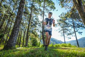 BIB: 5018
                            <button type="button" onclick="openModal(19279404)" class="btn btn-primary btn-sm float-right btn-popup" data-toggle="modal" data-target=".modal-high-quality">
                        <i class="fas fa-shopping-cart"></i> Add to Cart
                    </button>
                                            <button type="button" onclick="isThisMe(19279404, true)" class="btn btn-success btn-sm float-right btn-popup btn-isme hidden" data-toggle="tooltip" data-placement="bottom" title="นี่คือรูปของคุณใช่ไหม คลิกที่นี่เพื่อเอาเข้าอัลบั้ม">
                        <i class="fas fa-plus"></i> Add to album
                    </button>
                    <button type="button" onclick="isThisMe(19279404, false)" class="btn btn-warning btn-sm float-right btn-popup btn-isnotme hidden">
                        <i class="fas fa-ban"></i> Remove from album
                    </button>