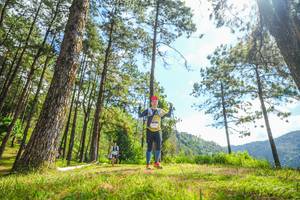 BIB: 
                            <button type="button" onclick="openModal(19290735)" class="btn btn-primary btn-sm float-right btn-popup" data-toggle="modal" data-target=".modal-high-quality">
                        <i class="fas fa-shopping-cart"></i> Add to Cart
                    </button>
                                            <button type="button" onclick="isThisMe(19290735, true)" class="btn btn-success btn-sm float-right btn-popup btn-isme hidden" data-toggle="tooltip" data-placement="bottom" title="นี่คือรูปของคุณใช่ไหม คลิกที่นี่เพื่อเอาเข้าอัลบั้ม">
                        <i class="fas fa-plus"></i> Add to album
                    </button>
                    <button type="button" onclick="isThisMe(19290735, false)" class="btn btn-warning btn-sm float-right btn-popup btn-isnotme hidden">
                        <i class="fas fa-ban"></i> Remove from album
                    </button>