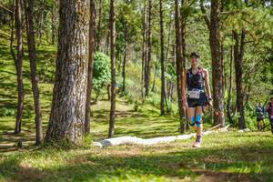 BIB: 4547
                            <button type="button" onclick="openModal(19291931)" class="btn btn-primary btn-sm float-right btn-popup" data-toggle="modal" data-target=".modal-high-quality">
                        <i class="fas fa-shopping-cart"></i> Add to Cart
                    </button>
                                            <button type="button" onclick="isThisMe(19291931, true)" class="btn btn-success btn-sm float-right btn-popup btn-isme hidden" data-toggle="tooltip" data-placement="bottom" title="นี่คือรูปของคุณใช่ไหม คลิกที่นี่เพื่อเอาเข้าอัลบั้ม">
                        <i class="fas fa-plus"></i> Add to album
                    </button>
                    <button type="button" onclick="isThisMe(19291931, false)" class="btn btn-warning btn-sm float-right btn-popup btn-isnotme hidden">
                        <i class="fas fa-ban"></i> Remove from album
                    </button>