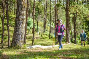 BIB: 650
                            <button type="button" onclick="openModal(19291968)" class="btn btn-primary btn-sm float-right btn-popup" data-toggle="modal" data-target=".modal-high-quality">
                        <i class="fas fa-shopping-cart"></i> Add to Cart
                    </button>
                                            <button type="button" onclick="isThisMe(19291968, true)" class="btn btn-success btn-sm float-right btn-popup btn-isme hidden" data-toggle="tooltip" data-placement="bottom" title="นี่คือรูปของคุณใช่ไหม คลิกที่นี่เพื่อเอาเข้าอัลบั้ม">
                        <i class="fas fa-plus"></i> Add to album
                    </button>
                    <button type="button" onclick="isThisMe(19291968, false)" class="btn btn-warning btn-sm float-right btn-popup btn-isnotme hidden">
                        <i class="fas fa-ban"></i> Remove from album
                    </button>