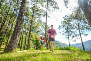 BIB: 
                            <button type="button" onclick="openModal(19289680)" class="btn btn-primary btn-sm float-right btn-popup" data-toggle="modal" data-target=".modal-high-quality">
                        <i class="fas fa-shopping-cart"></i> Add to Cart
                    </button>
                                            <button type="button" onclick="isThisMe(19289680, true)" class="btn btn-success btn-sm float-right btn-popup btn-isme hidden" data-toggle="tooltip" data-placement="bottom" title="นี่คือรูปของคุณใช่ไหม คลิกที่นี่เพื่อเอาเข้าอัลบั้ม">
                        <i class="fas fa-plus"></i> Add to album
                    </button>
                    <button type="button" onclick="isThisMe(19289680, false)" class="btn btn-warning btn-sm float-right btn-popup btn-isnotme hidden">
                        <i class="fas fa-ban"></i> Remove from album
                    </button>