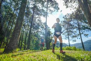 BIB: 
                            <button type="button" onclick="openModal(19280556)" class="btn btn-primary btn-sm float-right btn-popup" data-toggle="modal" data-target=".modal-high-quality">
                        <i class="fas fa-shopping-cart"></i> Add to Cart
                    </button>
                                            <button type="button" onclick="isThisMe(19280556, true)" class="btn btn-success btn-sm float-right btn-popup btn-isme hidden" data-toggle="tooltip" data-placement="bottom" title="นี่คือรูปของคุณใช่ไหม คลิกที่นี่เพื่อเอาเข้าอัลบั้ม">
                        <i class="fas fa-plus"></i> Add to album
                    </button>
                    <button type="button" onclick="isThisMe(19280556, false)" class="btn btn-warning btn-sm float-right btn-popup btn-isnotme hidden">
                        <i class="fas fa-ban"></i> Remove from album
                    </button>