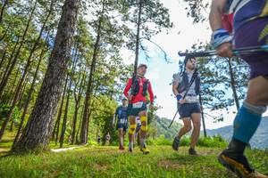 BIB: 
                            <button type="button" onclick="openModal(19290056)" class="btn btn-primary btn-sm float-right btn-popup" data-toggle="modal" data-target=".modal-high-quality">
                        <i class="fas fa-shopping-cart"></i> Add to Cart
                    </button>
                                            <button type="button" onclick="isThisMe(19290056, true)" class="btn btn-success btn-sm float-right btn-popup btn-isme hidden" data-toggle="tooltip" data-placement="bottom" title="นี่คือรูปของคุณใช่ไหม คลิกที่นี่เพื่อเอาเข้าอัลบั้ม">
                        <i class="fas fa-plus"></i> Add to album
                    </button>
                    <button type="button" onclick="isThisMe(19290056, false)" class="btn btn-warning btn-sm float-right btn-popup btn-isnotme hidden">
                        <i class="fas fa-ban"></i> Remove from album
                    </button>