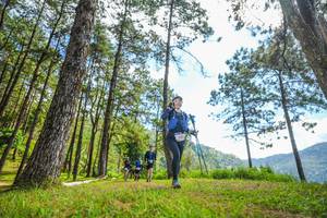 BIB: 
                            <button type="button" onclick="openModal(19289347)" class="btn btn-primary btn-sm float-right btn-popup" data-toggle="modal" data-target=".modal-high-quality">
                        <i class="fas fa-shopping-cart"></i> Add to Cart
                    </button>
                                            <button type="button" onclick="isThisMe(19289347, true)" class="btn btn-success btn-sm float-right btn-popup btn-isme hidden" data-toggle="tooltip" data-placement="bottom" title="นี่คือรูปของคุณใช่ไหม คลิกที่นี่เพื่อเอาเข้าอัลบั้ม">
                        <i class="fas fa-plus"></i> Add to album
                    </button>
                    <button type="button" onclick="isThisMe(19289347, false)" class="btn btn-warning btn-sm float-right btn-popup btn-isnotme hidden">
                        <i class="fas fa-ban"></i> Remove from album
                    </button>