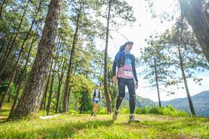 BIB: 
                            <button type="button" onclick="openModal(19289473)" class="btn btn-primary btn-sm float-right btn-popup" data-toggle="modal" data-target=".modal-high-quality">
                        <i class="fas fa-shopping-cart"></i> Add to Cart
                    </button>
                                            <button type="button" onclick="isThisMe(19289473, true)" class="btn btn-success btn-sm float-right btn-popup btn-isme hidden" data-toggle="tooltip" data-placement="bottom" title="นี่คือรูปของคุณใช่ไหม คลิกที่นี่เพื่อเอาเข้าอัลบั้ม">
                        <i class="fas fa-plus"></i> Add to album
                    </button>
                    <button type="button" onclick="isThisMe(19289473, false)" class="btn btn-warning btn-sm float-right btn-popup btn-isnotme hidden">
                        <i class="fas fa-ban"></i> Remove from album
                    </button>