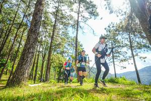 BIB: 
                            <button type="button" onclick="openModal(19289220)" class="btn btn-primary btn-sm float-right btn-popup" data-toggle="modal" data-target=".modal-high-quality">
                        <i class="fas fa-shopping-cart"></i> Add to Cart
                    </button>
                                            <button type="button" onclick="isThisMe(19289220, true)" class="btn btn-success btn-sm float-right btn-popup btn-isme hidden" data-toggle="tooltip" data-placement="bottom" title="นี่คือรูปของคุณใช่ไหม คลิกที่นี่เพื่อเอาเข้าอัลบั้ม">
                        <i class="fas fa-plus"></i> Add to album
                    </button>
                    <button type="button" onclick="isThisMe(19289220, false)" class="btn btn-warning btn-sm float-right btn-popup btn-isnotme hidden">
                        <i class="fas fa-ban"></i> Remove from album
                    </button>