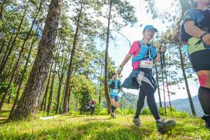 BIB: 6599
                            <button type="button" onclick="openModal(19289229)" class="btn btn-primary btn-sm float-right btn-popup" data-toggle="modal" data-target=".modal-high-quality">
                        <i class="fas fa-shopping-cart"></i> Add to Cart
                    </button>
                                            <button type="button" onclick="isThisMe(19289229, true)" class="btn btn-success btn-sm float-right btn-popup btn-isme hidden" data-toggle="tooltip" data-placement="bottom" title="นี่คือรูปของคุณใช่ไหม คลิกที่นี่เพื่อเอาเข้าอัลบั้ม">
                        <i class="fas fa-plus"></i> Add to album
                    </button>
                    <button type="button" onclick="isThisMe(19289229, false)" class="btn btn-warning btn-sm float-right btn-popup btn-isnotme hidden">
                        <i class="fas fa-ban"></i> Remove from album
                    </button>