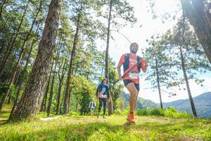 BIB: 
                            <button type="button" onclick="openModal(19289469)" class="btn btn-primary btn-sm float-right btn-popup" data-toggle="modal" data-target=".modal-high-quality">
                        <i class="fas fa-shopping-cart"></i> Add to Cart
                    </button>
                                            <button type="button" onclick="isThisMe(19289469, true)" class="btn btn-success btn-sm float-right btn-popup btn-isme hidden" data-toggle="tooltip" data-placement="bottom" title="นี่คือรูปของคุณใช่ไหม คลิกที่นี่เพื่อเอาเข้าอัลบั้ม">
                        <i class="fas fa-plus"></i> Add to album
                    </button>
                    <button type="button" onclick="isThisMe(19289469, false)" class="btn btn-warning btn-sm float-right btn-popup btn-isnotme hidden">
                        <i class="fas fa-ban"></i> Remove from album
                    </button>