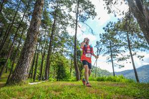 BIB: 300
                            <button type="button" onclick="openModal(19291497)" class="btn btn-primary btn-sm float-right btn-popup" data-toggle="modal" data-target=".modal-high-quality">
                        <i class="fas fa-shopping-cart"></i> Add to Cart
                    </button>
                                            <button type="button" onclick="isThisMe(19291497, true)" class="btn btn-success btn-sm float-right btn-popup btn-isme hidden" data-toggle="tooltip" data-placement="bottom" title="นี่คือรูปของคุณใช่ไหม คลิกที่นี่เพื่อเอาเข้าอัลบั้ม">
                        <i class="fas fa-plus"></i> Add to album
                    </button>
                    <button type="button" onclick="isThisMe(19291497, false)" class="btn btn-warning btn-sm float-right btn-popup btn-isnotme hidden">
                        <i class="fas fa-ban"></i> Remove from album
                    </button>