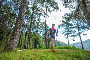 BIB: 
                            <button type="button" onclick="openModal(19287407)" class="btn btn-primary btn-sm float-right btn-popup" data-toggle="modal" data-target=".modal-high-quality">
                        <i class="fas fa-shopping-cart"></i> Add to Cart
                    </button>
                                            <button type="button" onclick="isThisMe(19287407, true)" class="btn btn-success btn-sm float-right btn-popup btn-isme hidden" data-toggle="tooltip" data-placement="bottom" title="นี่คือรูปของคุณใช่ไหม คลิกที่นี่เพื่อเอาเข้าอัลบั้ม">
                        <i class="fas fa-plus"></i> Add to album
                    </button>
                    <button type="button" onclick="isThisMe(19287407, false)" class="btn btn-warning btn-sm float-right btn-popup btn-isnotme hidden">
                        <i class="fas fa-ban"></i> Remove from album
                    </button>