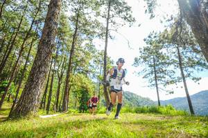 BIB: 
                            <button type="button" onclick="openModal(19289670)" class="btn btn-primary btn-sm float-right btn-popup" data-toggle="modal" data-target=".modal-high-quality">
                        <i class="fas fa-shopping-cart"></i> Add to Cart
                    </button>
                                            <button type="button" onclick="isThisMe(19289670, true)" class="btn btn-success btn-sm float-right btn-popup btn-isme hidden" data-toggle="tooltip" data-placement="bottom" title="นี่คือรูปของคุณใช่ไหม คลิกที่นี่เพื่อเอาเข้าอัลบั้ม">
                        <i class="fas fa-plus"></i> Add to album
                    </button>
                    <button type="button" onclick="isThisMe(19289670, false)" class="btn btn-warning btn-sm float-right btn-popup btn-isnotme hidden">
                        <i class="fas fa-ban"></i> Remove from album
                    </button>