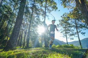 BIB: 
                            <button type="button" onclick="openModal(19278703)" class="btn btn-primary btn-sm float-right btn-popup" data-toggle="modal" data-target=".modal-high-quality">
                        <i class="fas fa-shopping-cart"></i> Add to Cart
                    </button>
                                            <button type="button" onclick="isThisMe(19278703, true)" class="btn btn-success btn-sm float-right btn-popup btn-isme hidden" data-toggle="tooltip" data-placement="bottom" title="นี่คือรูปของคุณใช่ไหม คลิกที่นี่เพื่อเอาเข้าอัลบั้ม">
                        <i class="fas fa-plus"></i> Add to album
                    </button>
                    <button type="button" onclick="isThisMe(19278703, false)" class="btn btn-warning btn-sm float-right btn-popup btn-isnotme hidden">
                        <i class="fas fa-ban"></i> Remove from album
                    </button>