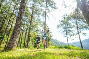 BIB: 
                            <button type="button" onclick="openModal(19288856)" class="btn btn-primary btn-sm float-right btn-popup" data-toggle="modal" data-target=".modal-high-quality">
                        <i class="fas fa-shopping-cart"></i> Add to Cart
                    </button>
                                            <button type="button" onclick="isThisMe(19288856, true)" class="btn btn-success btn-sm float-right btn-popup btn-isme hidden" data-toggle="tooltip" data-placement="bottom" title="นี่คือรูปของคุณใช่ไหม คลิกที่นี่เพื่อเอาเข้าอัลบั้ม">
                        <i class="fas fa-plus"></i> Add to album
                    </button>
                    <button type="button" onclick="isThisMe(19288856, false)" class="btn btn-warning btn-sm float-right btn-popup btn-isnotme hidden">
                        <i class="fas fa-ban"></i> Remove from album
                    </button>