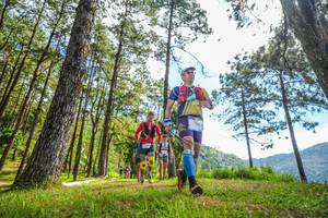 BIB: 
                            <button type="button" onclick="openModal(19290052)" class="btn btn-primary btn-sm float-right btn-popup" data-toggle="modal" data-target=".modal-high-quality">
                        <i class="fas fa-shopping-cart"></i> Add to Cart
                    </button>
                                            <button type="button" onclick="isThisMe(19290052, true)" class="btn btn-success btn-sm float-right btn-popup btn-isme hidden" data-toggle="tooltip" data-placement="bottom" title="นี่คือรูปของคุณใช่ไหม คลิกที่นี่เพื่อเอาเข้าอัลบั้ม">
                        <i class="fas fa-plus"></i> Add to album
                    </button>
                    <button type="button" onclick="isThisMe(19290052, false)" class="btn btn-warning btn-sm float-right btn-popup btn-isnotme hidden">
                        <i class="fas fa-ban"></i> Remove from album
                    </button>