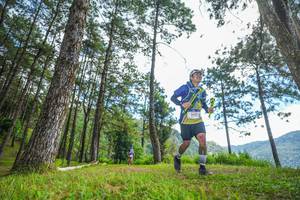 BIB: 3633
                            <button type="button" onclick="openModal(19288667)" class="btn btn-primary btn-sm float-right btn-popup" data-toggle="modal" data-target=".modal-high-quality">
                        <i class="fas fa-shopping-cart"></i> Add to Cart
                    </button>
                                            <button type="button" onclick="isThisMe(19288667, true)" class="btn btn-success btn-sm float-right btn-popup btn-isme hidden" data-toggle="tooltip" data-placement="bottom" title="นี่คือรูปของคุณใช่ไหม คลิกที่นี่เพื่อเอาเข้าอัลบั้ม">
                        <i class="fas fa-plus"></i> Add to album
                    </button>
                    <button type="button" onclick="isThisMe(19288667, false)" class="btn btn-warning btn-sm float-right btn-popup btn-isnotme hidden">
                        <i class="fas fa-ban"></i> Remove from album
                    </button>