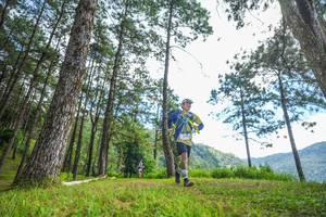 BIB: 
                            <button type="button" onclick="openModal(19288661)" class="btn btn-primary btn-sm float-right btn-popup" data-toggle="modal" data-target=".modal-high-quality">
                        <i class="fas fa-shopping-cart"></i> Add to Cart
                    </button>
                                            <button type="button" onclick="isThisMe(19288661, true)" class="btn btn-success btn-sm float-right btn-popup btn-isme hidden" data-toggle="tooltip" data-placement="bottom" title="นี่คือรูปของคุณใช่ไหม คลิกที่นี่เพื่อเอาเข้าอัลบั้ม">
                        <i class="fas fa-plus"></i> Add to album
                    </button>
                    <button type="button" onclick="isThisMe(19288661, false)" class="btn btn-warning btn-sm float-right btn-popup btn-isnotme hidden">
                        <i class="fas fa-ban"></i> Remove from album
                    </button>