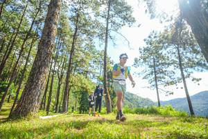 BIB: 
                            <button type="button" onclick="openModal(19290514)" class="btn btn-primary btn-sm float-right btn-popup" data-toggle="modal" data-target=".modal-high-quality">
                        <i class="fas fa-shopping-cart"></i> Add to Cart
                    </button>
                                            <button type="button" onclick="isThisMe(19290514, true)" class="btn btn-success btn-sm float-right btn-popup btn-isme hidden" data-toggle="tooltip" data-placement="bottom" title="นี่คือรูปของคุณใช่ไหม คลิกที่นี่เพื่อเอาเข้าอัลบั้ม">
                        <i class="fas fa-plus"></i> Add to album
                    </button>
                    <button type="button" onclick="isThisMe(19290514, false)" class="btn btn-warning btn-sm float-right btn-popup btn-isnotme hidden">
                        <i class="fas fa-ban"></i> Remove from album
                    </button>