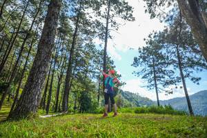 BIB: 
                            <button type="button" onclick="openModal(19282041)" class="btn btn-primary btn-sm float-right btn-popup" data-toggle="modal" data-target=".modal-high-quality">
                        <i class="fas fa-shopping-cart"></i> Add to Cart
                    </button>
                                            <button type="button" onclick="isThisMe(19282041, true)" class="btn btn-success btn-sm float-right btn-popup btn-isme hidden" data-toggle="tooltip" data-placement="bottom" title="นี่คือรูปของคุณใช่ไหม คลิกที่นี่เพื่อเอาเข้าอัลบั้ม">
                        <i class="fas fa-plus"></i> Add to album
                    </button>
                    <button type="button" onclick="isThisMe(19282041, false)" class="btn btn-warning btn-sm float-right btn-popup btn-isnotme hidden">
                        <i class="fas fa-ban"></i> Remove from album
                    </button>