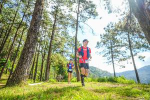 BIB: 
                            <button type="button" onclick="openModal(19289179)" class="btn btn-primary btn-sm float-right btn-popup" data-toggle="modal" data-target=".modal-high-quality">
                        <i class="fas fa-shopping-cart"></i> Add to Cart
                    </button>
                                            <button type="button" onclick="isThisMe(19289179, true)" class="btn btn-success btn-sm float-right btn-popup btn-isme hidden" data-toggle="tooltip" data-placement="bottom" title="นี่คือรูปของคุณใช่ไหม คลิกที่นี่เพื่อเอาเข้าอัลบั้ม">
                        <i class="fas fa-plus"></i> Add to album
                    </button>
                    <button type="button" onclick="isThisMe(19289179, false)" class="btn btn-warning btn-sm float-right btn-popup btn-isnotme hidden">
                        <i class="fas fa-ban"></i> Remove from album
                    </button>