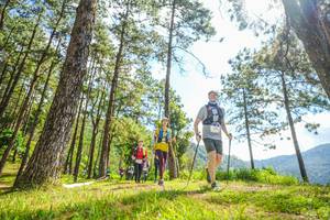 BIB: 
                            <button type="button" onclick="openModal(19289133)" class="btn btn-primary btn-sm float-right btn-popup" data-toggle="modal" data-target=".modal-high-quality">
                        <i class="fas fa-shopping-cart"></i> Add to Cart
                    </button>
                                            <button type="button" onclick="isThisMe(19289133, true)" class="btn btn-success btn-sm float-right btn-popup btn-isme hidden" data-toggle="tooltip" data-placement="bottom" title="นี่คือรูปของคุณใช่ไหม คลิกที่นี่เพื่อเอาเข้าอัลบั้ม">
                        <i class="fas fa-plus"></i> Add to album
                    </button>
                    <button type="button" onclick="isThisMe(19289133, false)" class="btn btn-warning btn-sm float-right btn-popup btn-isnotme hidden">
                        <i class="fas fa-ban"></i> Remove from album
                    </button>