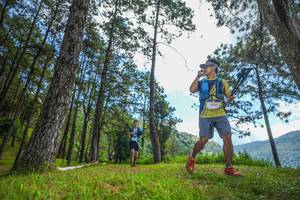 BIB: 9055
                            <button type="button" onclick="openModal(19287239)" class="btn btn-primary btn-sm float-right btn-popup" data-toggle="modal" data-target=".modal-high-quality">
                        <i class="fas fa-shopping-cart"></i> Add to Cart
                    </button>
                                            <button type="button" onclick="isThisMe(19287239, true)" class="btn btn-success btn-sm float-right btn-popup btn-isme hidden" data-toggle="tooltip" data-placement="bottom" title="นี่คือรูปของคุณใช่ไหม คลิกที่นี่เพื่อเอาเข้าอัลบั้ม">
                        <i class="fas fa-plus"></i> Add to album
                    </button>
                    <button type="button" onclick="isThisMe(19287239, false)" class="btn btn-warning btn-sm float-right btn-popup btn-isnotme hidden">
                        <i class="fas fa-ban"></i> Remove from album
                    </button>