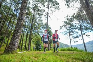 BIB: 
                            <button type="button" onclick="openModal(19287504)" class="btn btn-primary btn-sm float-right btn-popup" data-toggle="modal" data-target=".modal-high-quality">
                        <i class="fas fa-shopping-cart"></i> Add to Cart
                    </button>
                                            <button type="button" onclick="isThisMe(19287504, true)" class="btn btn-success btn-sm float-right btn-popup btn-isme hidden" data-toggle="tooltip" data-placement="bottom" title="นี่คือรูปของคุณใช่ไหม คลิกที่นี่เพื่อเอาเข้าอัลบั้ม">
                        <i class="fas fa-plus"></i> Add to album
                    </button>
                    <button type="button" onclick="isThisMe(19287504, false)" class="btn btn-warning btn-sm float-right btn-popup btn-isnotme hidden">
                        <i class="fas fa-ban"></i> Remove from album
                    </button>