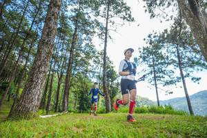 BIB: 
                            <button type="button" onclick="openModal(19288380)" class="btn btn-primary btn-sm float-right btn-popup" data-toggle="modal" data-target=".modal-high-quality">
                        <i class="fas fa-shopping-cart"></i> Add to Cart
                    </button>
                                            <button type="button" onclick="isThisMe(19288380, true)" class="btn btn-success btn-sm float-right btn-popup btn-isme hidden" data-toggle="tooltip" data-placement="bottom" title="นี่คือรูปของคุณใช่ไหม คลิกที่นี่เพื่อเอาเข้าอัลบั้ม">
                        <i class="fas fa-plus"></i> Add to album
                    </button>
                    <button type="button" onclick="isThisMe(19288380, false)" class="btn btn-warning btn-sm float-right btn-popup btn-isnotme hidden">
                        <i class="fas fa-ban"></i> Remove from album
                    </button>