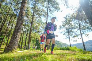 BIB: 5906
                            <button type="button" onclick="openModal(19290432)" class="btn btn-primary btn-sm float-right btn-popup" data-toggle="modal" data-target=".modal-high-quality">
                        <i class="fas fa-shopping-cart"></i> Add to Cart
                    </button>
                                            <button type="button" onclick="isThisMe(19290432, true)" class="btn btn-success btn-sm float-right btn-popup btn-isme hidden" data-toggle="tooltip" data-placement="bottom" title="นี่คือรูปของคุณใช่ไหม คลิกที่นี่เพื่อเอาเข้าอัลบั้ม">
                        <i class="fas fa-plus"></i> Add to album
                    </button>
                    <button type="button" onclick="isThisMe(19290432, false)" class="btn btn-warning btn-sm float-right btn-popup btn-isnotme hidden">
                        <i class="fas fa-ban"></i> Remove from album
                    </button>