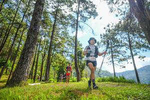 BIB: 655
                            <button type="button" onclick="openModal(19286738)" class="btn btn-primary btn-sm float-right btn-popup" data-toggle="modal" data-target=".modal-high-quality">
                        <i class="fas fa-shopping-cart"></i> Add to Cart
                    </button>
                                            <button type="button" onclick="isThisMe(19286738, true)" class="btn btn-success btn-sm float-right btn-popup btn-isme hidden" data-toggle="tooltip" data-placement="bottom" title="นี่คือรูปของคุณใช่ไหม คลิกที่นี่เพื่อเอาเข้าอัลบั้ม">
                        <i class="fas fa-plus"></i> Add to album
                    </button>
                    <button type="button" onclick="isThisMe(19286738, false)" class="btn btn-warning btn-sm float-right btn-popup btn-isnotme hidden">
                        <i class="fas fa-ban"></i> Remove from album
                    </button>